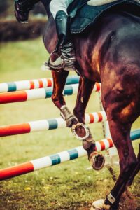 horse jumping over obstacle